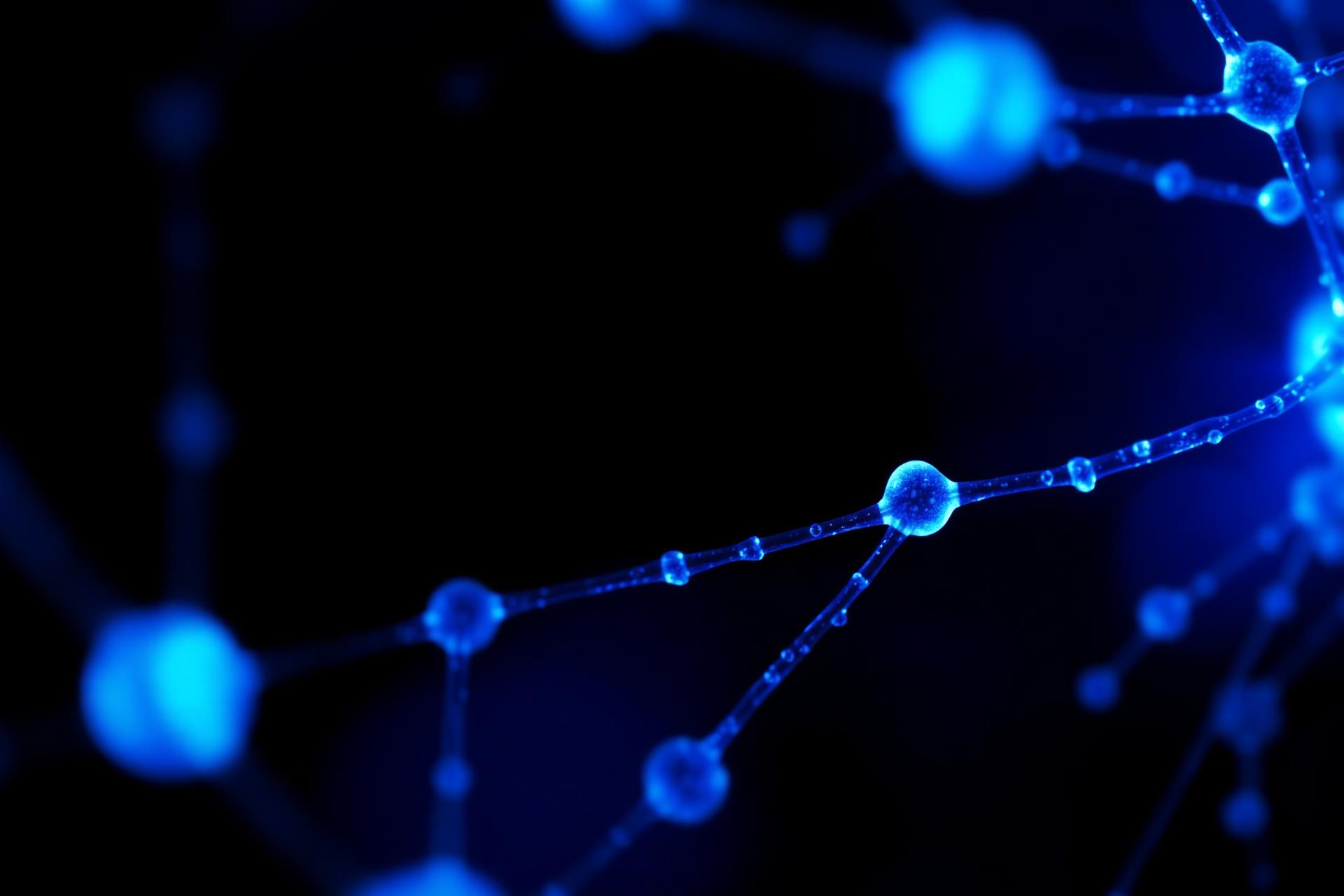 Nanomedicine particles targeting brain cancer stem cells